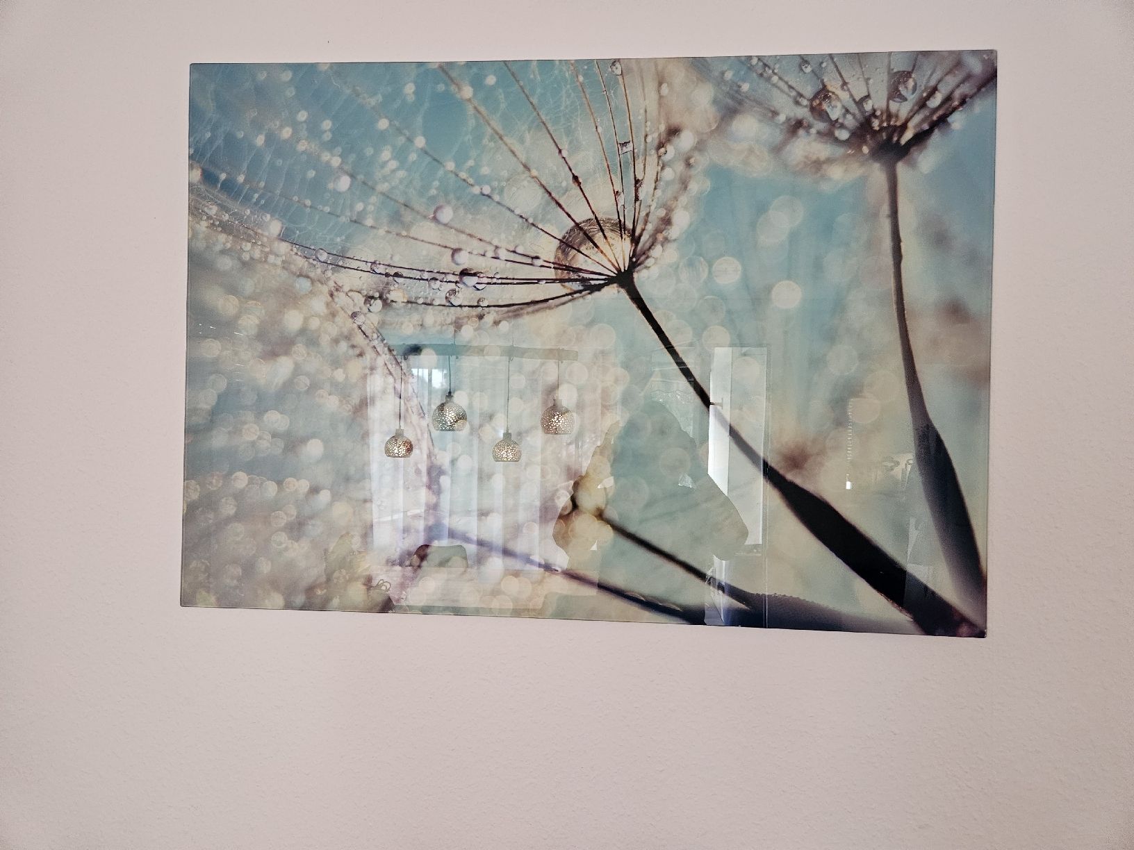 Posters & Illustrations: Glasbild Pusteblume Wassertropfen 100x70cm neu – D'occasion à Zofingen par Prune73 1