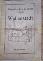 Alte Landeskarte von der Armee Wallenstadt 1:100 000 1922
