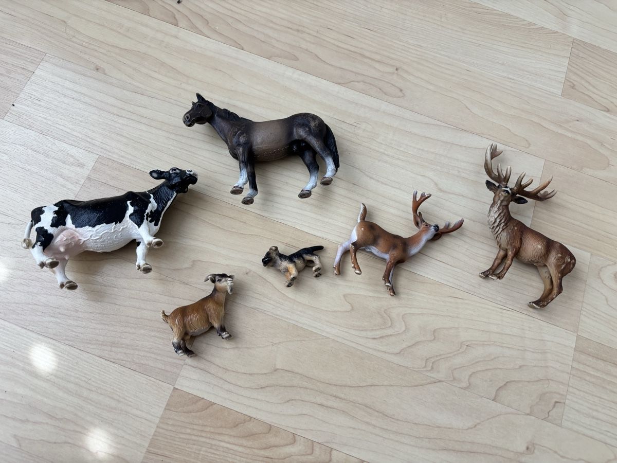 Schleich Giocattoli: 6 Schleich Bauernhof- / Waldtiere – Usato da Rotkreuz venduto da Bonito77 1