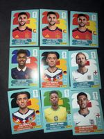 Panini sticker 2026