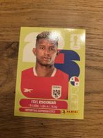 Panini Sticker 2026 PAN 4