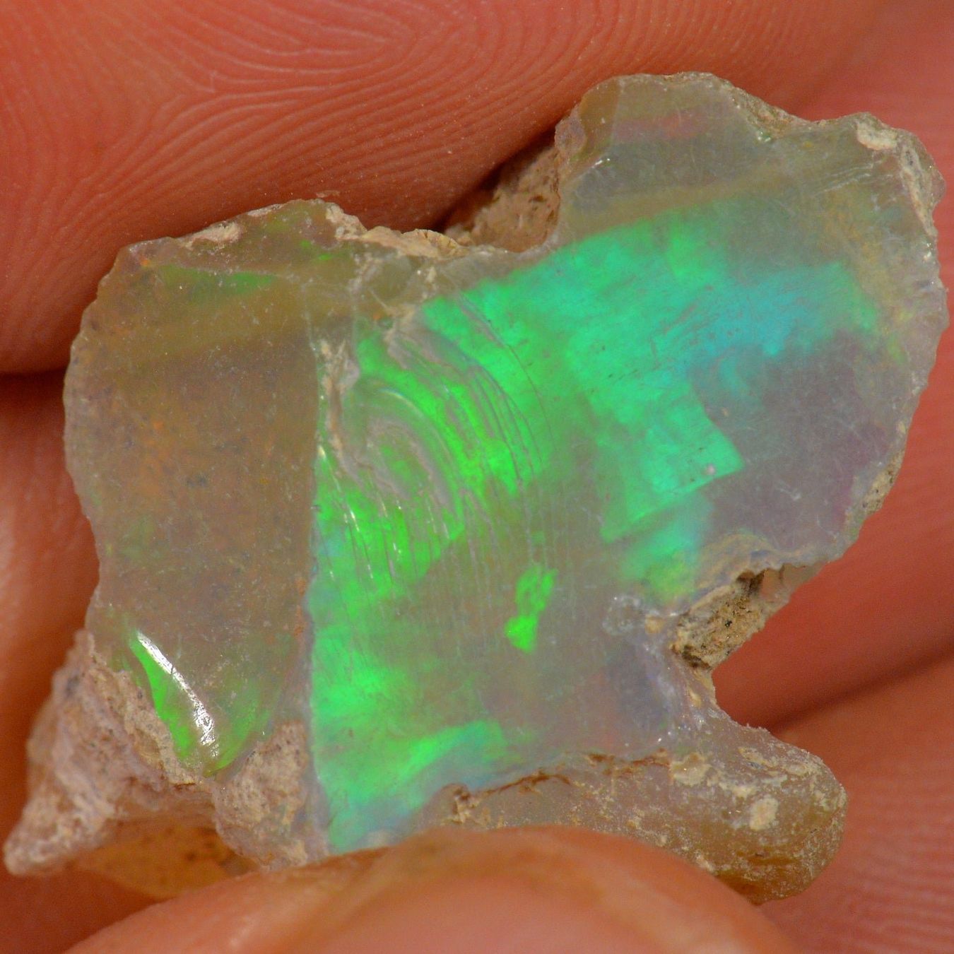 Pietre preziose: 17.1 Karat - Roher Äthiopischer Welo Opal – Nuovo (secondo la descrizione) da Rüti ZH venduto da DeinOpal 1