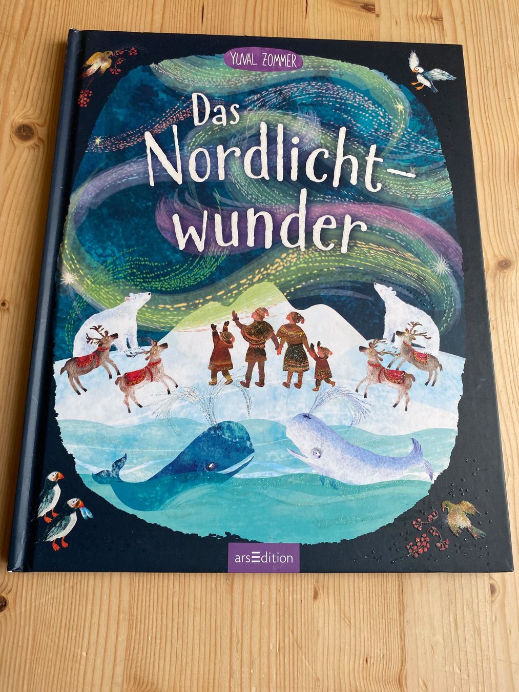 Bücher: Yuval Zommer: Das Nordlichtwunder – Gebraucht aus Weinfelden von Cheyenne21