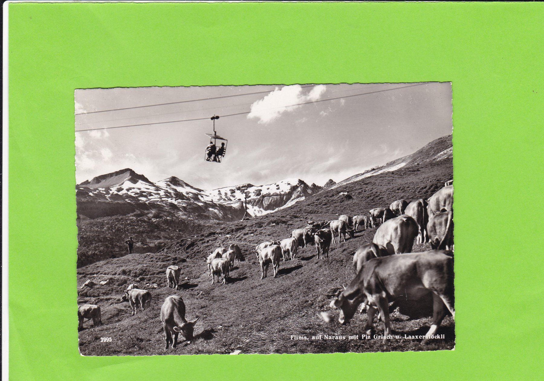 Cartoline postali: Flims-Sesselbahn, weidende Kühe – Usato da St. Peterzell venduto da neckertal