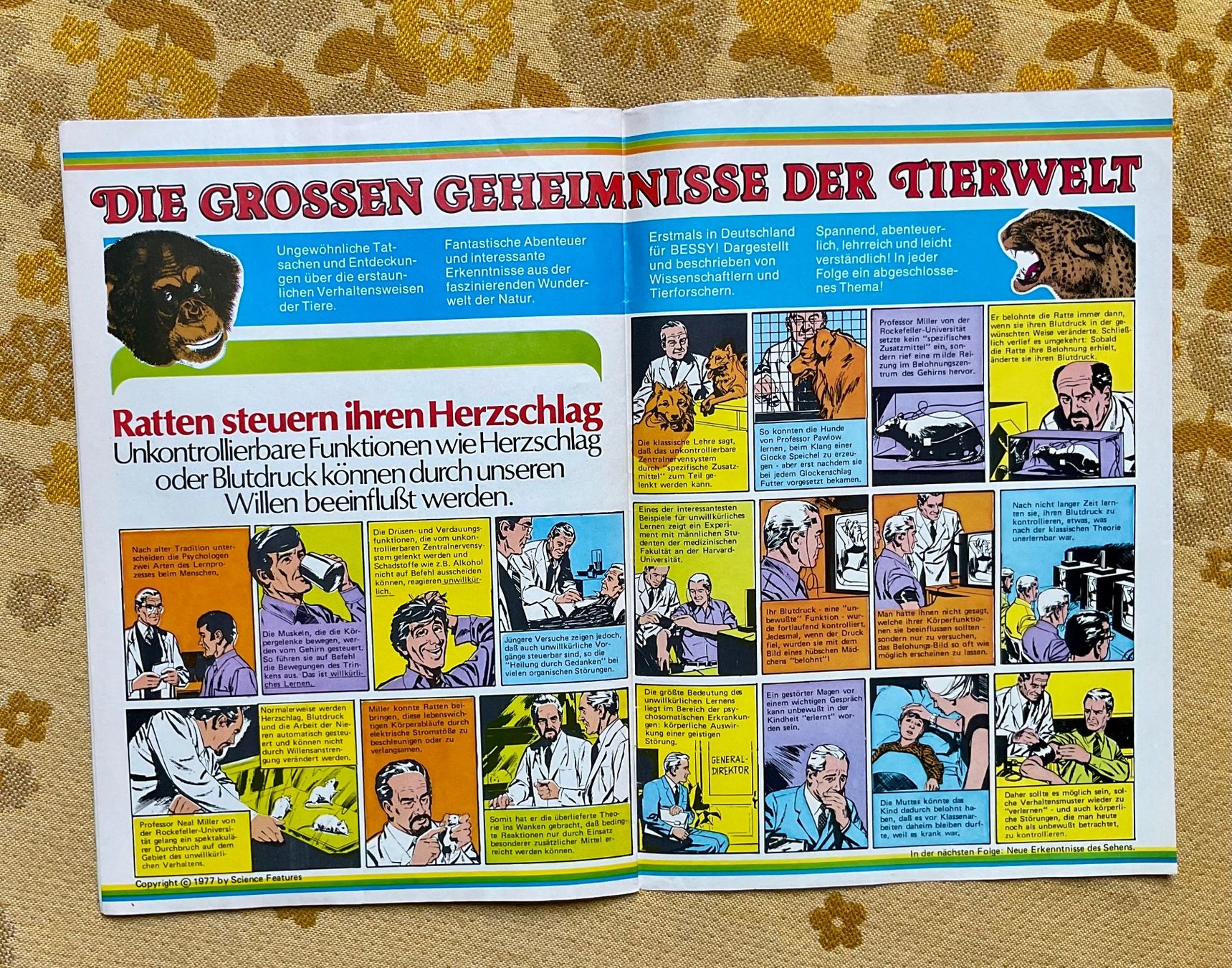 Comics: Bessy Heft Nr 613 von 1978 ? – Gebraucht aus Endingen von nathan05 8