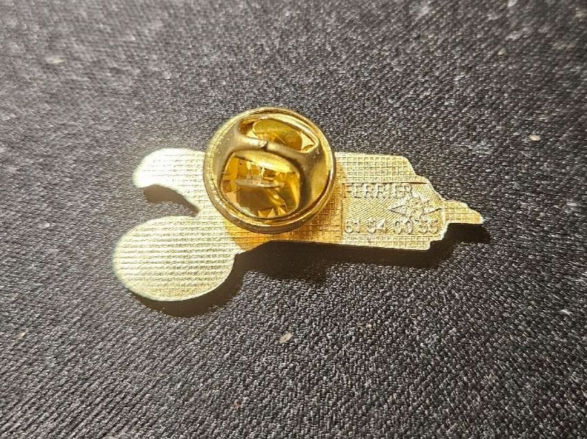 Spille & Fermagli: Pin Esso – Usato da Bern venduto da Respirit 1