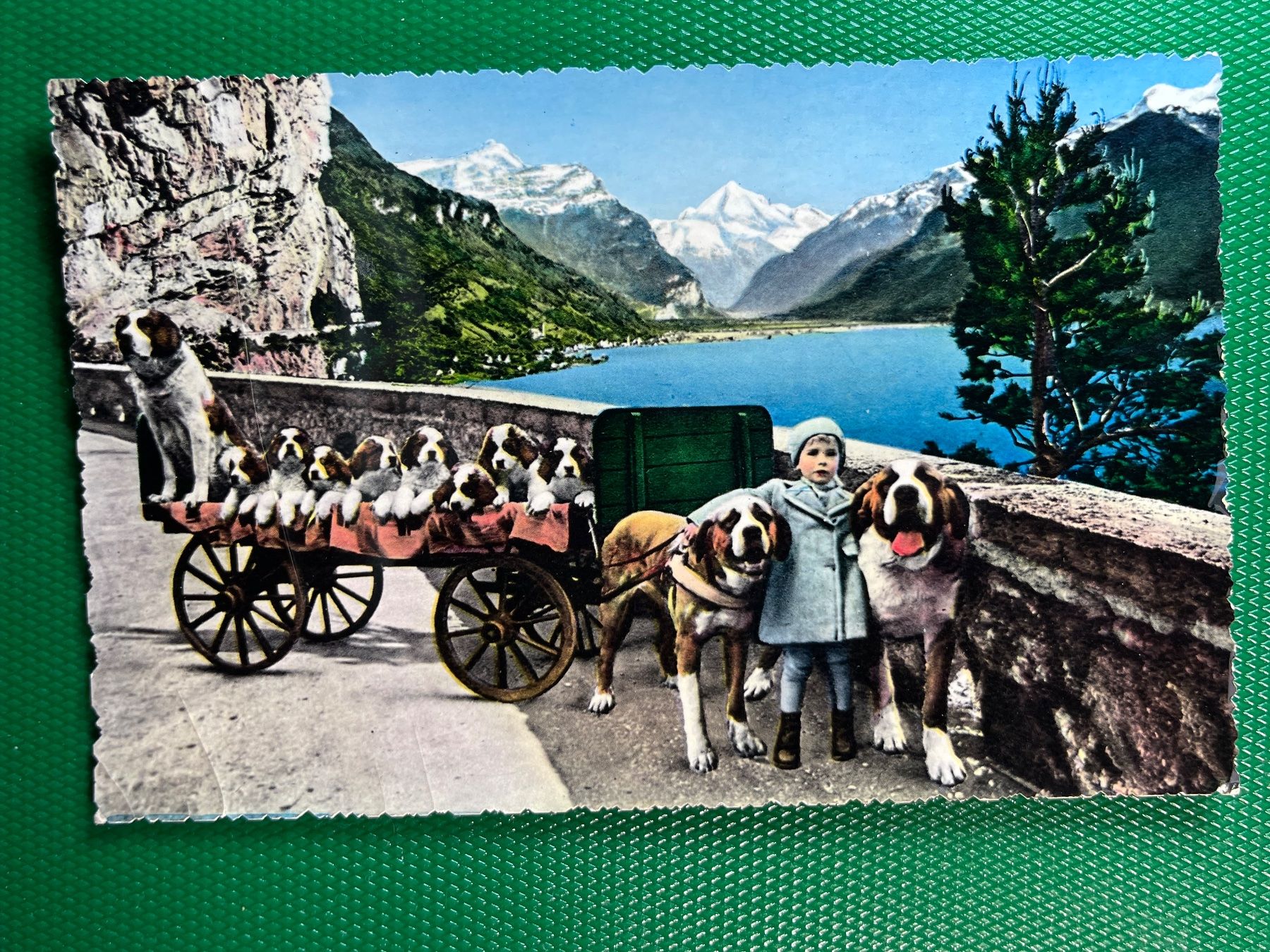 Cartoline postali: Flüelen - St.  Bernard-Zwinger – Usato da Steg VS venduto da danwer74