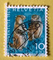Nr.J 211 GESTEMPELT Alpenmurmeltier 1965  
