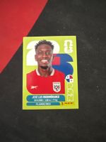Panini FIFA WM 2026 Sticker - PAN 19