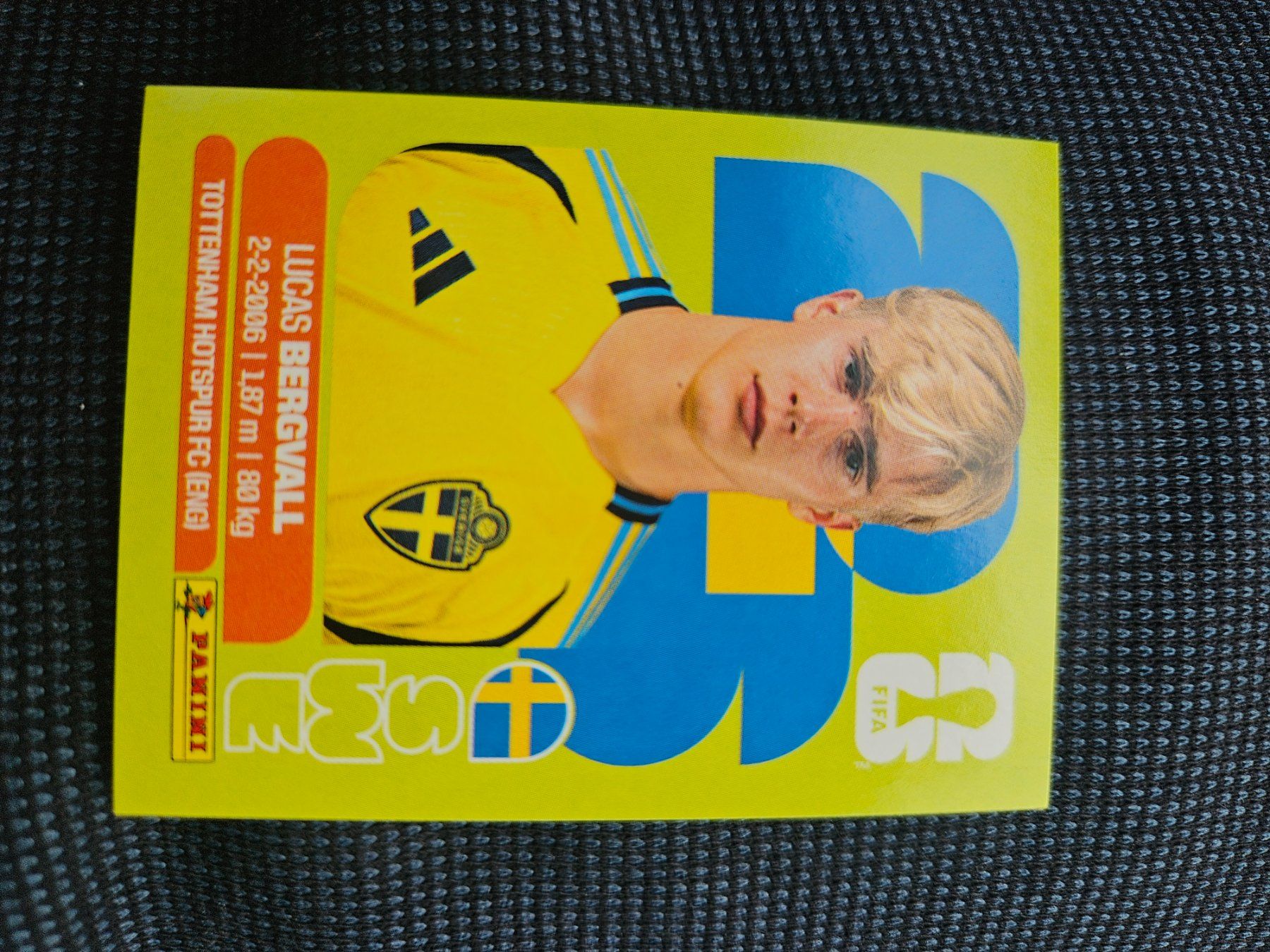 Panini Carte collezionabili: SWE 8 – Usato da Würenlingen venduto da Dinli