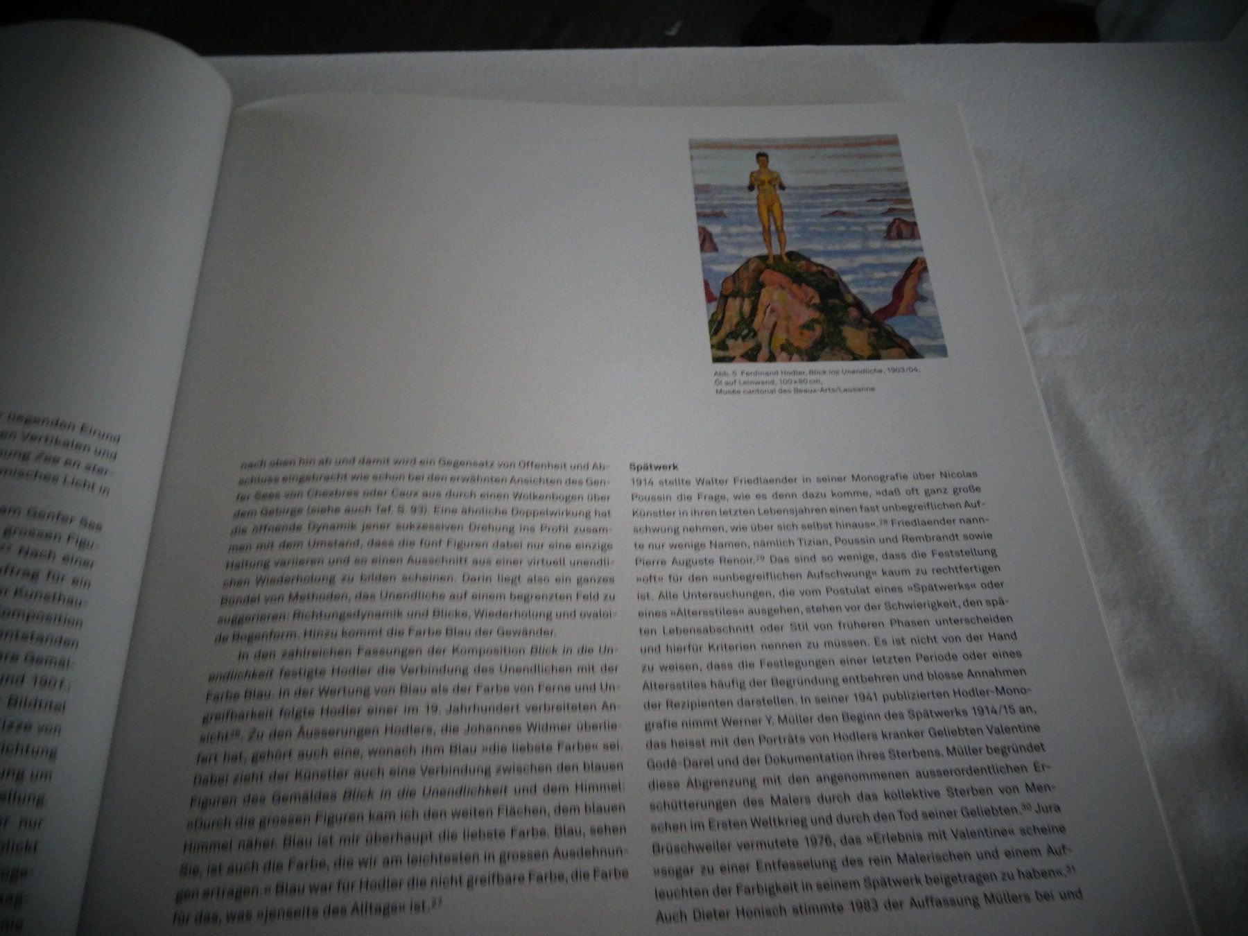 Libri: Ferdinand Hodler – Usato da Neerach venduto da jenny062 5