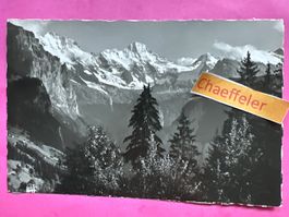 Bei 1942 Wengen. Großhirn - Breithorn - Tschingelhorn
