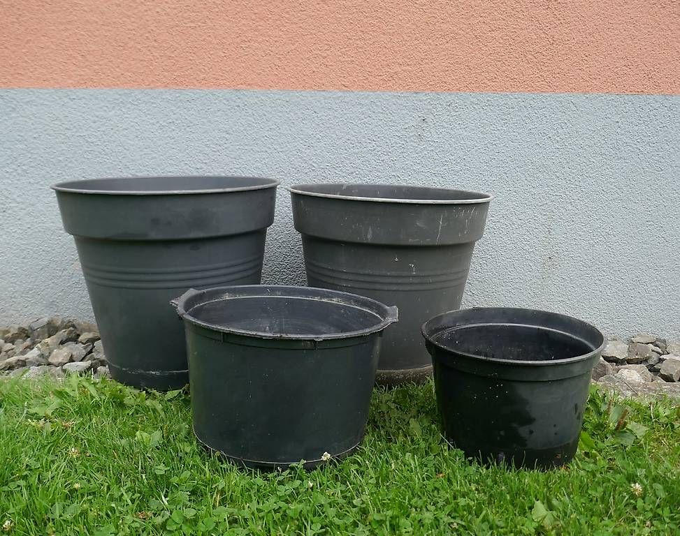 Blumentöpfe: Grosse Pflanztöpfe – Gebraucht aus Rotkreuz von jrg_lwn8