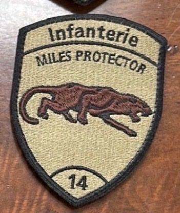 Schweizer Armee Placchette & Badge: 3 - Infanterie 14 – Usato da Morbio Inferiore venduto da Ecod