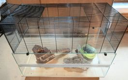 Hamsterkäfig mit Zubehör und Transportbox guter Zustand