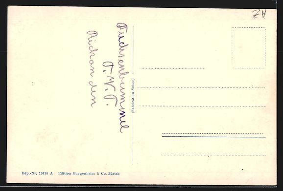 Cartoline postali: AK Rikon, Teilansicht mit Strassenpartie – Usato da Berlin venduto da bartko-reher 1