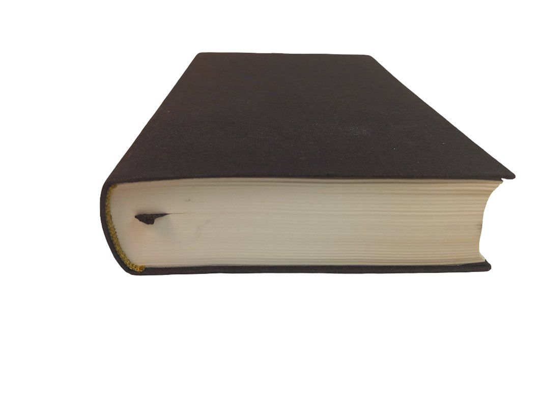 Libri: GOETHE GEDICHT 11 Band 2 – Usato da Hünenberg venduto da Restwert_Zug 3