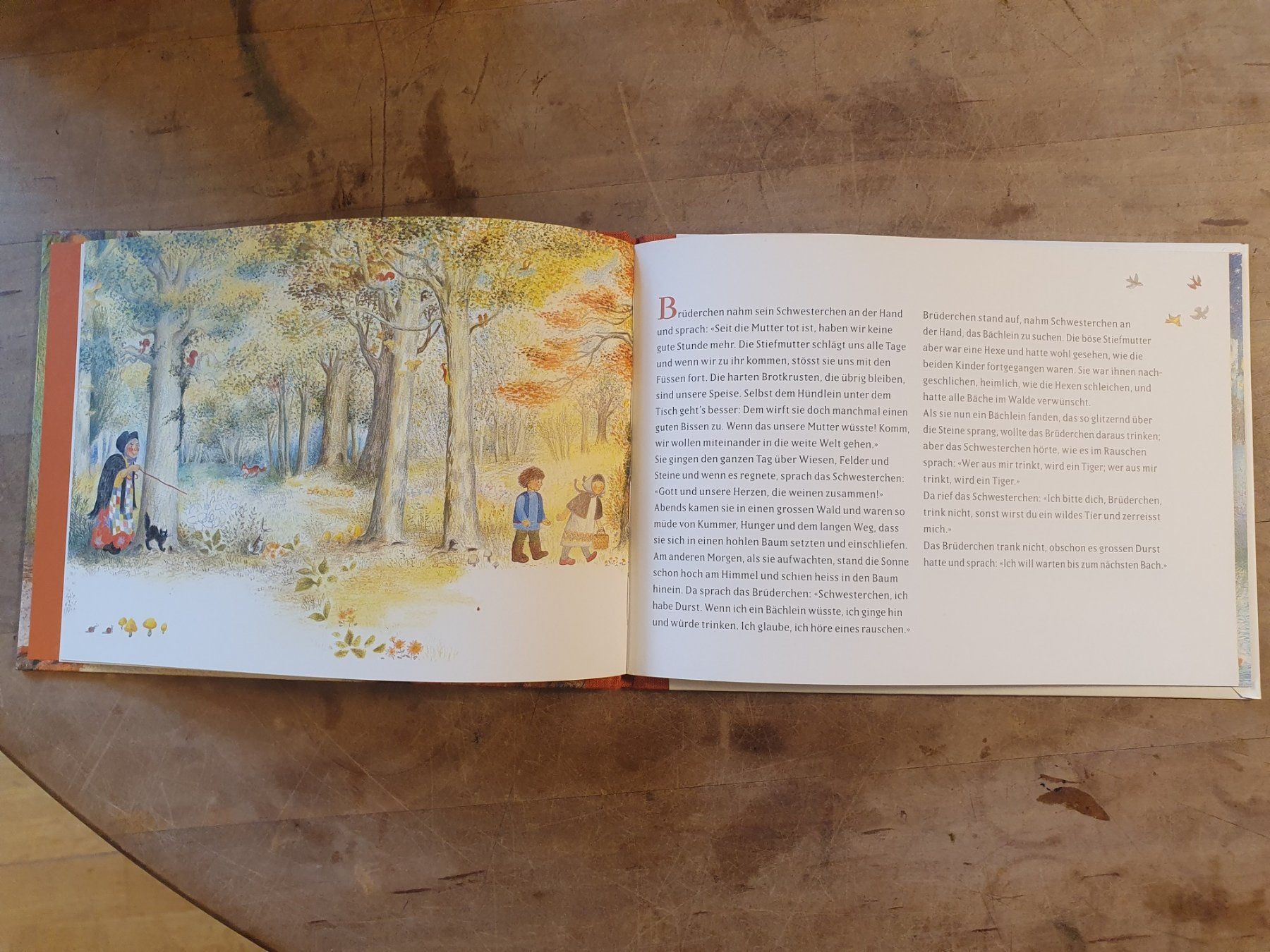 Bücher: Brüderchen und Schwesterchen Gebrüder Grimm – Gebraucht aus Zürich von loosebone 1