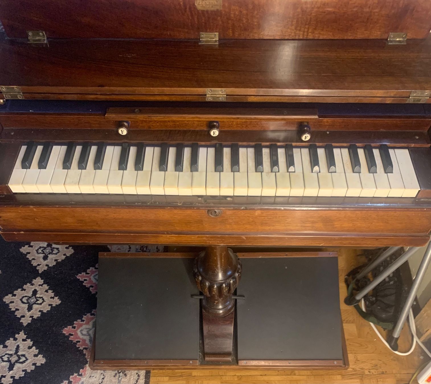 Strumenti musicali: Antikes Reise Harmonium  Physharmonika – Usato da Grabs venduto da mayram27 6