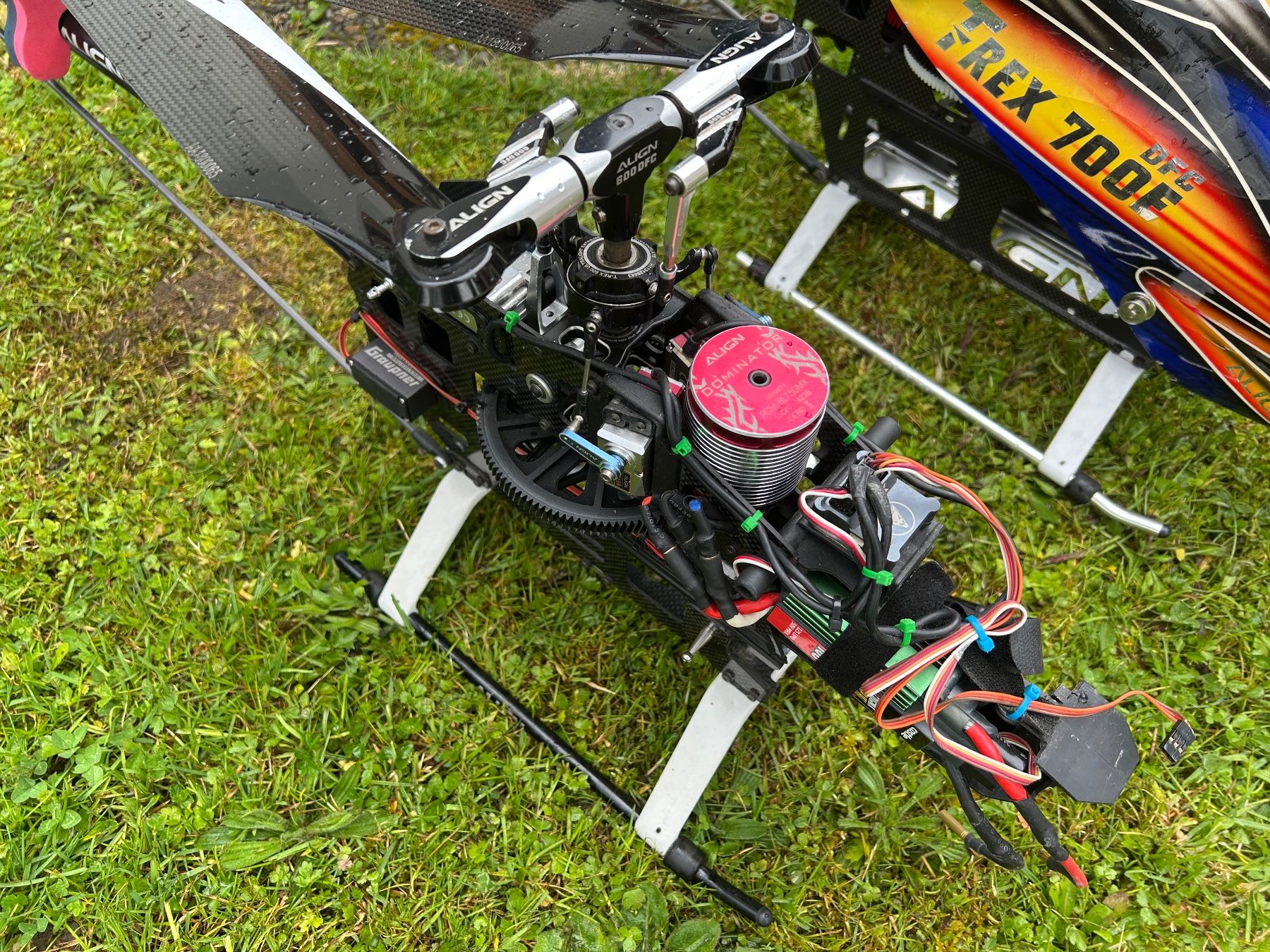 Align Modellismo RC: Trex 600 dfc pro komplett Bavaria Demon – Usato da Dättwil AG venduto da Egrace 1