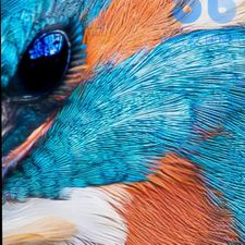 Profile image of jer_7vgj