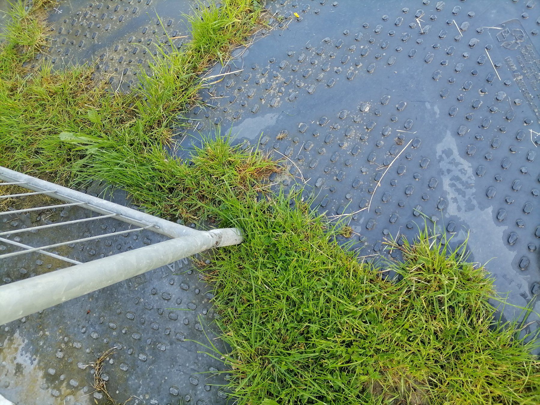 Recinzioni: Mobilzaun gebraucht – Usato da Winterthur venduto da subi2012 1