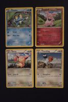 Pokemon XY Kalos Starter ENG 