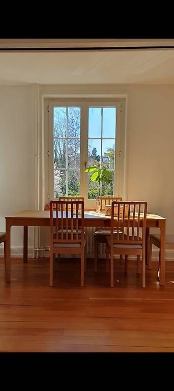 Tavoli: Esstisch inkl. 6 Stühle, IKEA Ekeladen – Usato da Aesch BL venduto da pusteplum