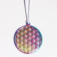 Schutzbild - Blume des Lebens Regenbogen