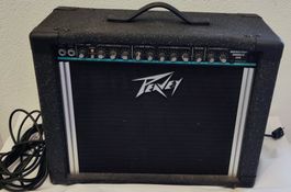 Peavey Gitarren Verstärker Backstage Chorus 208 USA Made