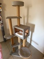 Kratzbaum / Katzenbaum grau – ideal für Kitten & kleine Katz