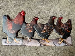 Huhn Hahn Familie tier hofladen eier deko