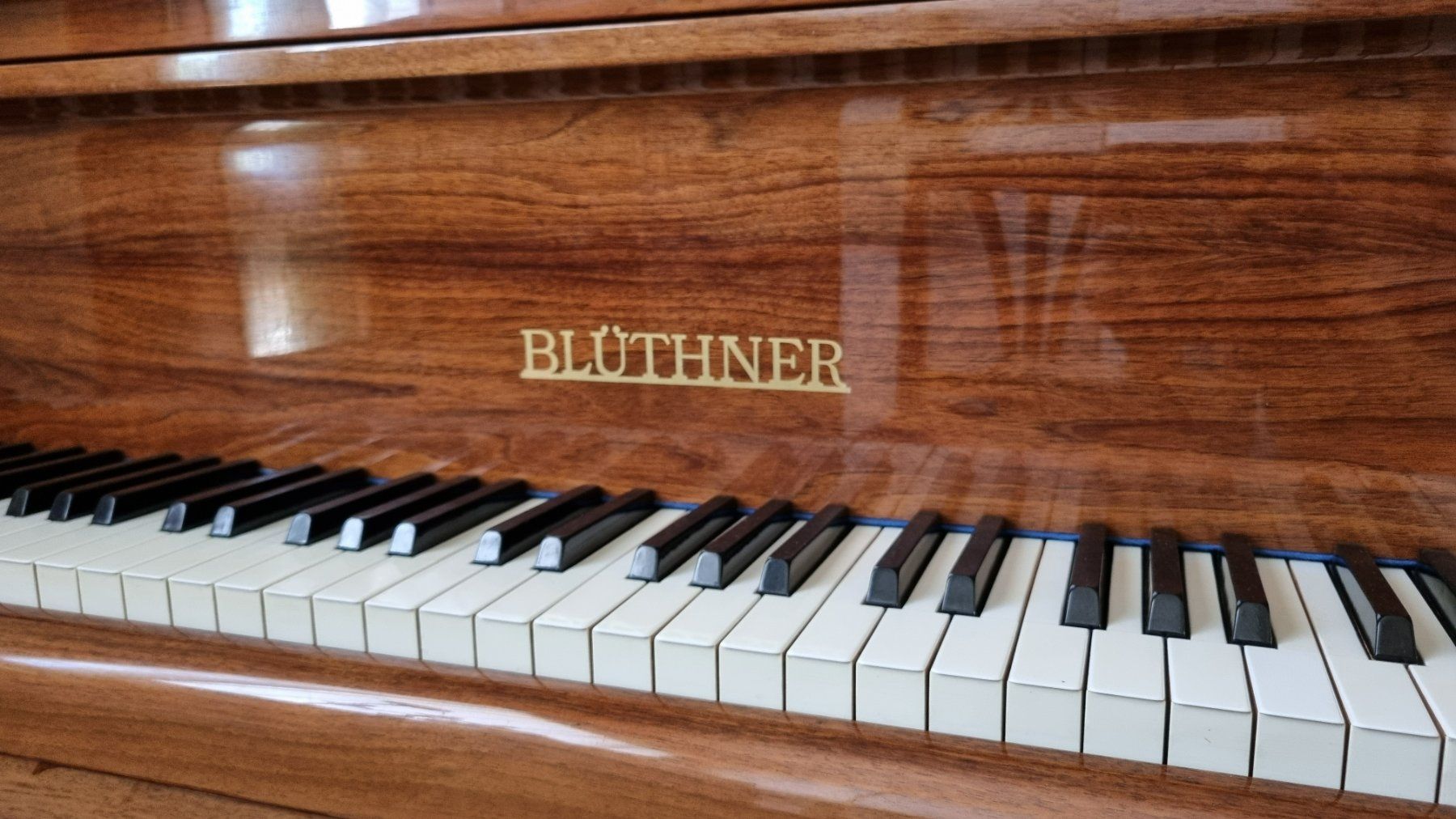 Blüthner Strumenti musicali: Piano 1/4 queue J. Blüthner avec système silencieux ADSILENT – Usato da Versoix venduto da Audrey294 2