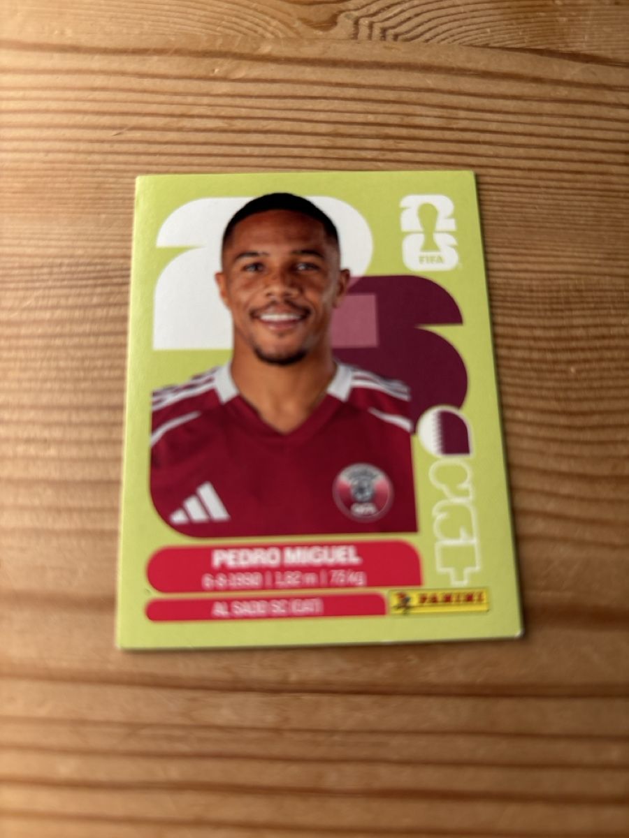 Panini Carte collezionabili: Panini FIFA QAT 7 – Nuovo (secondo la descrizione) da Basel venduto da fcbr