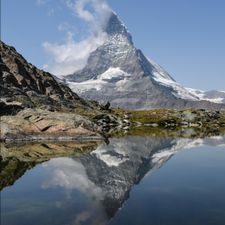 Profile image of swiss.trading
