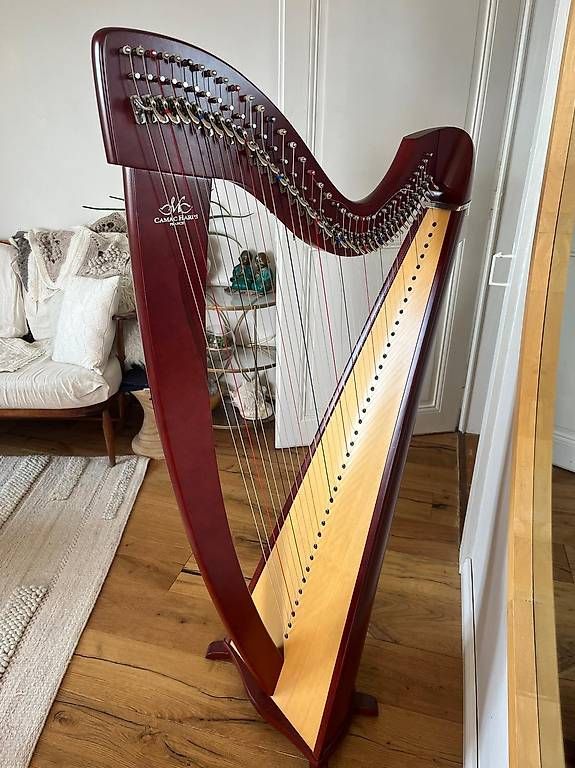 Strumenti musicali: Harfe keltisch Camac /Harpe celtique Camac – Usato da Vevey venduto da RickVev 2