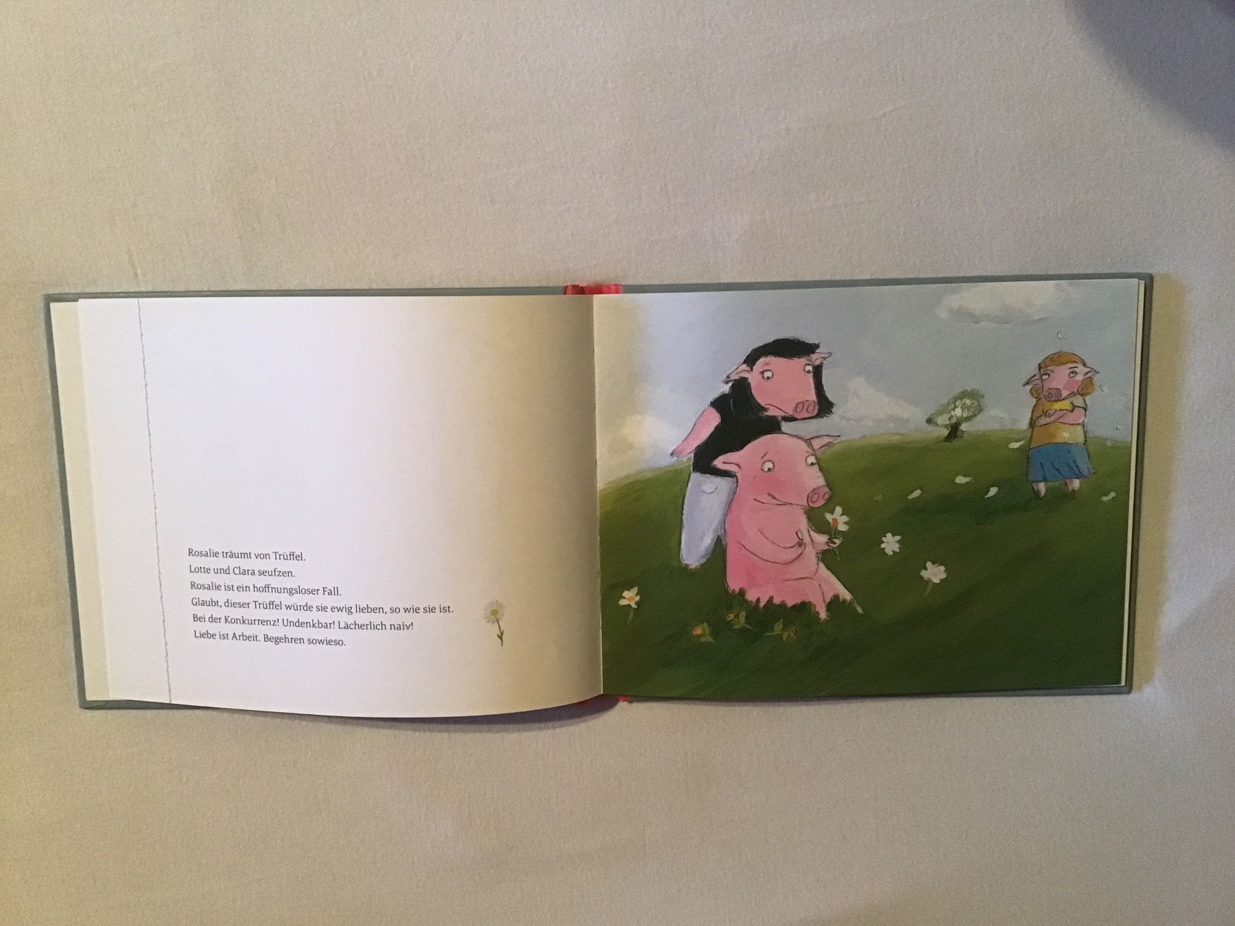 Bücher: Trüffel & Rosalie Eine Geschichte vom Glück – Neu (gemäss Beschreibung) aus Rüti ZH von Wernika1 2