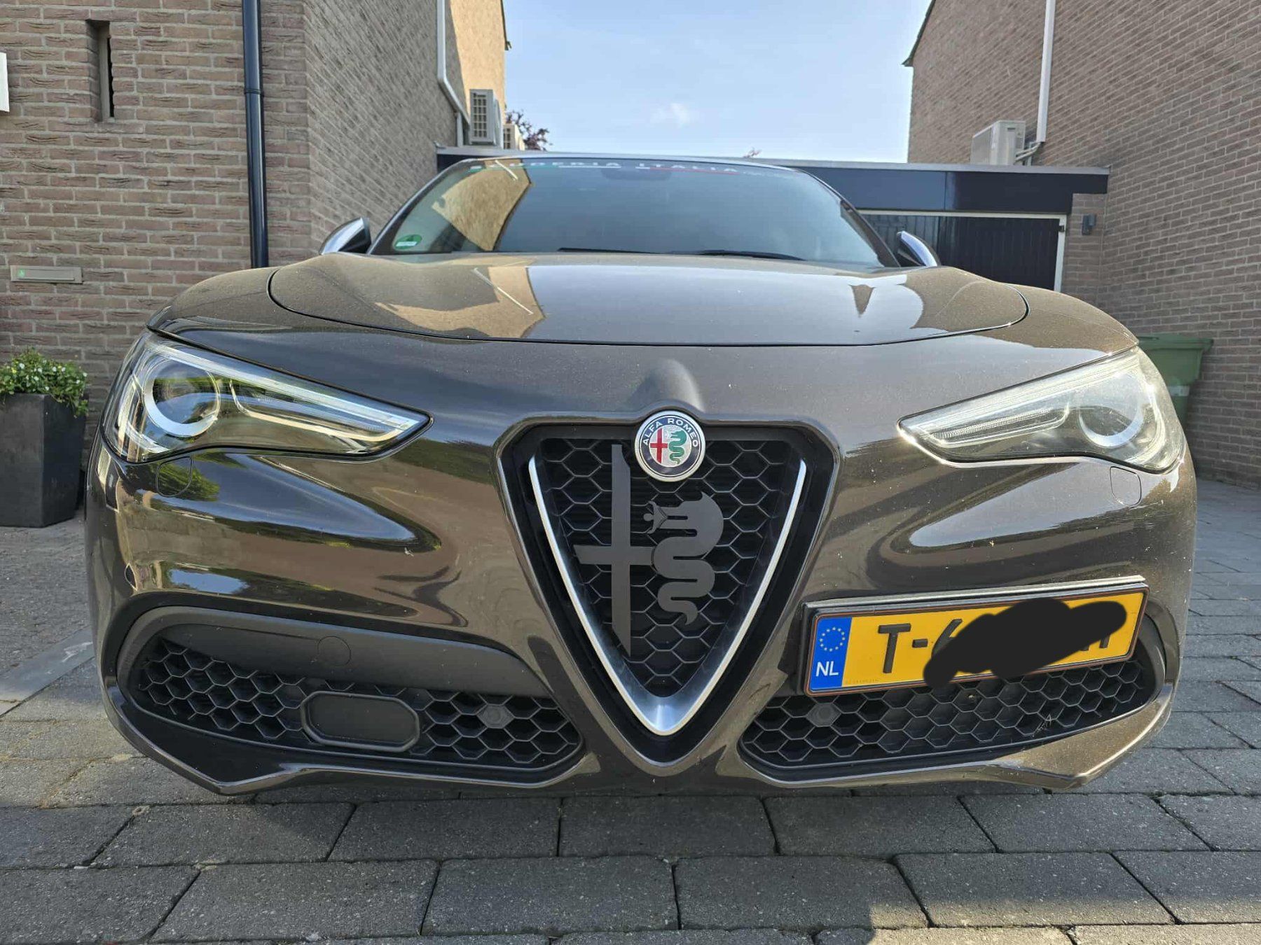Alfa Romeo Tutti pezzi di ricambio auto: Alfa Romeo Stelvio & Giulia Grill accessory, Matte Schwarz – Nuovo (secondo la descrizione) da Lyss venduto da nesholo1986