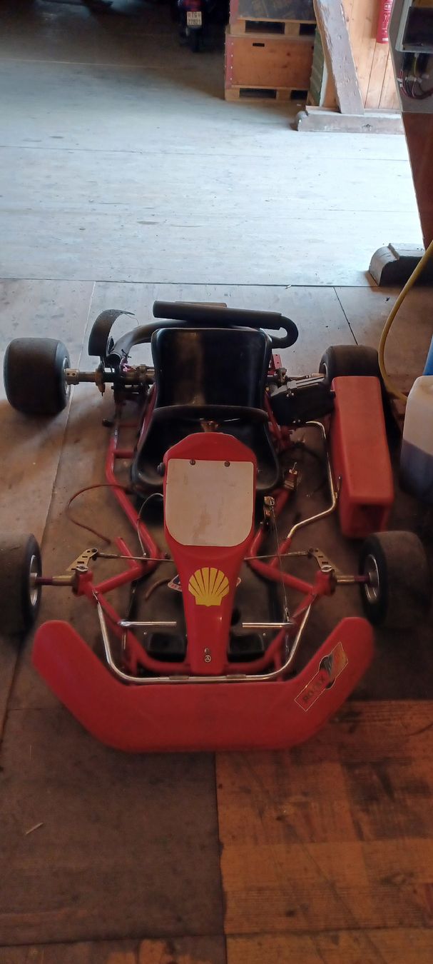 Rotax Go-Kart: Go Kart ohne Motor – Difettoso da Zihlschlacht venduto da archenoah01 1