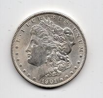 (345) USA, 1 Dollan, Morgan, 1901, top stgl