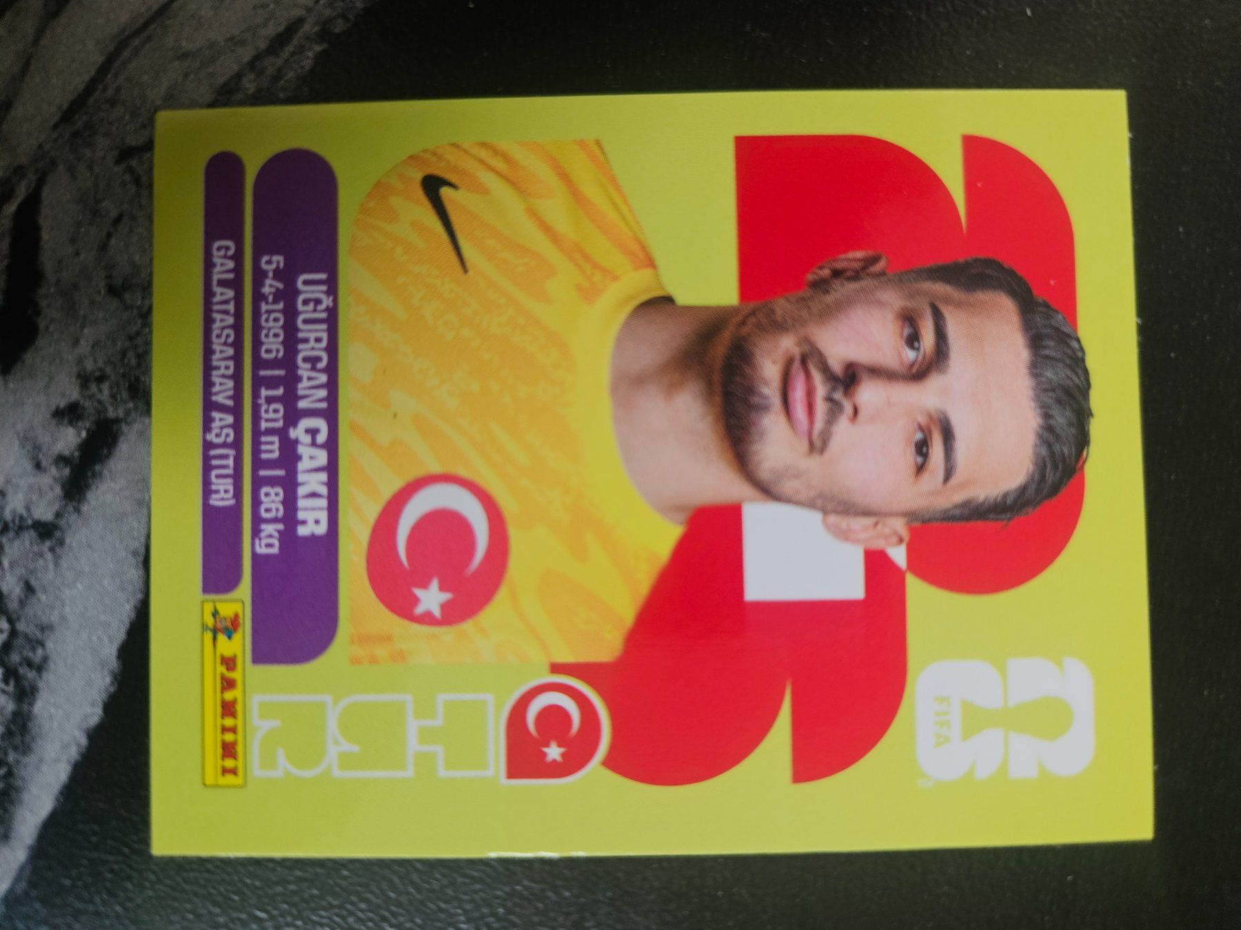 Panini Cartes à collectionner: TUR 2 – D'occasion à Würenlingen par Dinli