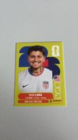Carte panini 2026 - USA 14
