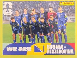 Panini FIFA World Cup BIH 13
