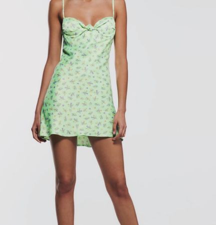 Zara dress