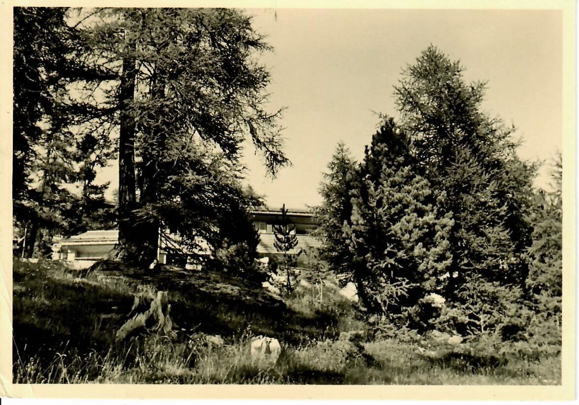 Cartoline postali: Chesa Semnadur - St.Moritz - Suvretta – Usato da Hochdorf venduto da Ziegel-16