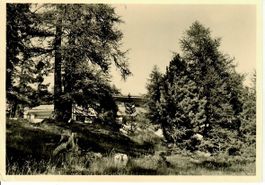 Chesa Semnadur - St.Moritz - Suvretta