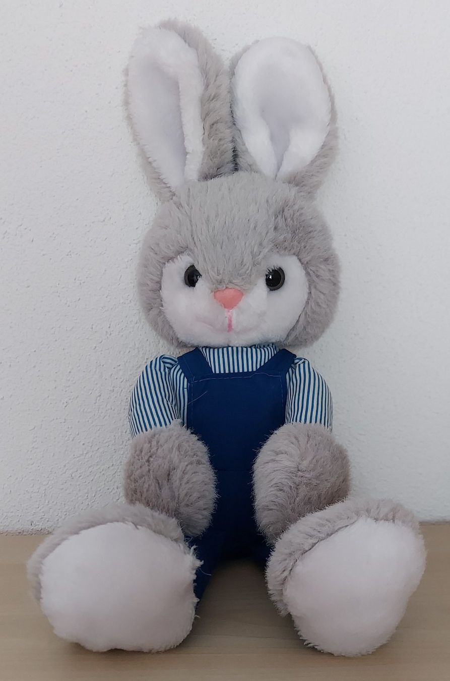 Jouets: HASE (1) – D'occasion à Steckborn par Quo7
