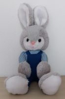 HASE (1)