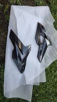 BMW s1000r Carbon Seitenverkleidung