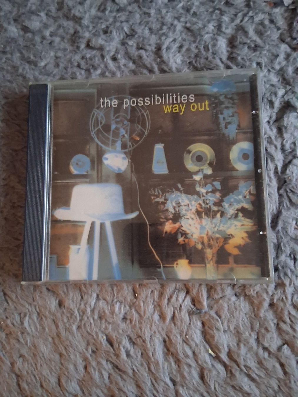 CDs: THE POSSIBILITIES      WAY OUT    CD – Gebraucht aus Wetzikon ZH von Ramones01